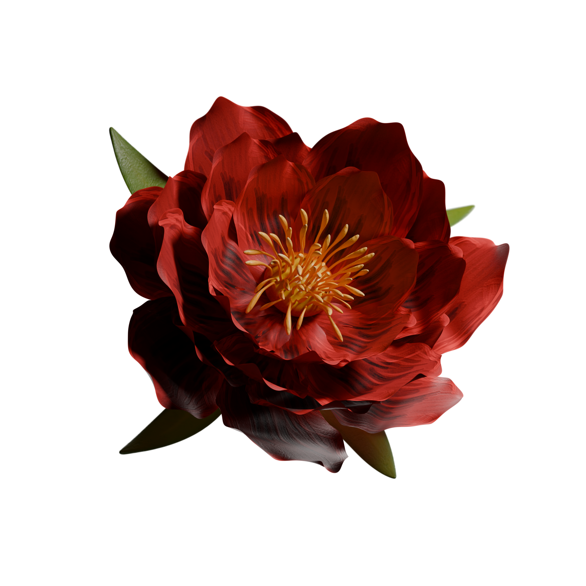 Rote Rose als Herznote im Parfum von Le Flocon, sinnlich, elegant und klassisch verführerisch.